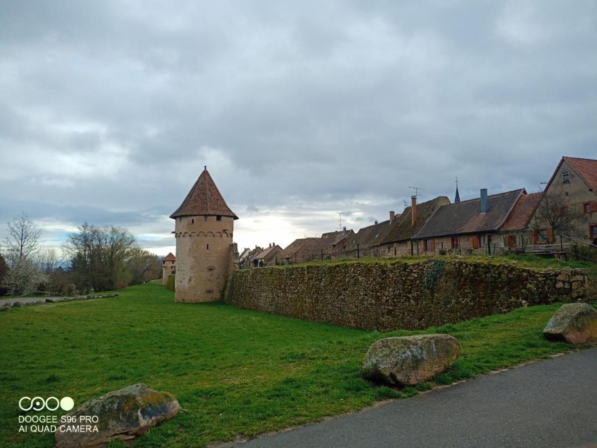 Bergheim Piscine Lägenhet Exteriör bild